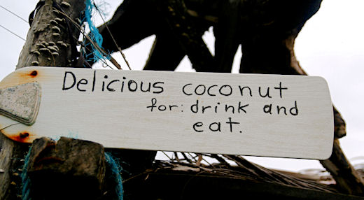 coconut to eat and drink