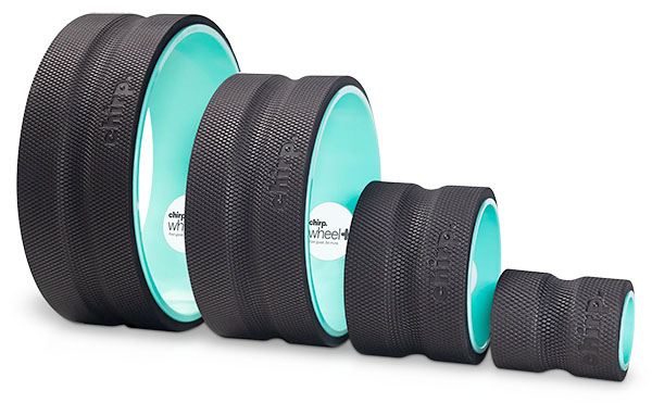 chirp wheel plus in all four sizes